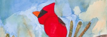 Beth Zmerzlikar, Red Bird on a Tree Branch, Watercolor and graphite on paper, Courtesy of the artist and Creativity Explored, San Francisco, California