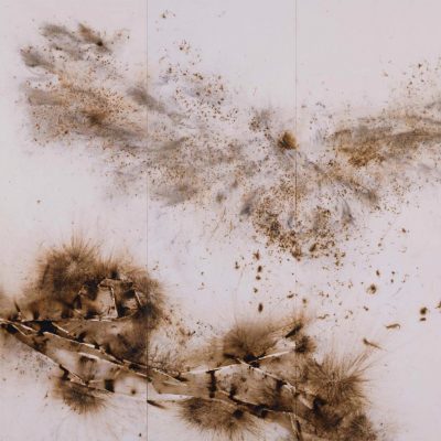 Cai Guo-Qiang, Eagle Landing on Pine Branch, 2007, gunpowder on paper mounted on 5 panel screen, image courtesy of the artist.