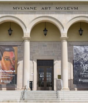 mulvane art museum
