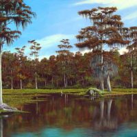 Luis Núñez, Majestic Cypresses of Wakulla Springs, Oil on canvas, Overall: 24 x 36in. (61 x 91.4cm), Courtesy of the artist, Homestead, Florida