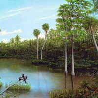 Luis Núñez, A Peaceful Afternoon in The Big Cypress, Oil on canvas, Overall: 18 x 24in. (45.7 x 61cm) Framed:  20 1/4 x 24 1/4in. (51.4 x 61.6cm), Courtesy of the artist, Homestead, Florida