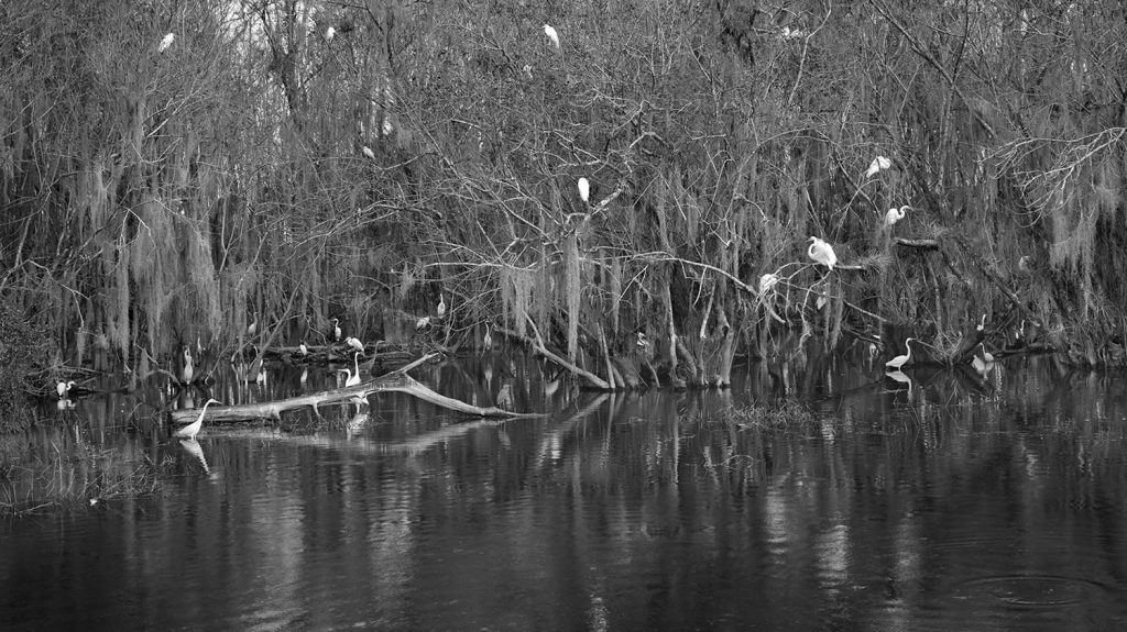 Clyde Butcher U.S. Department of State