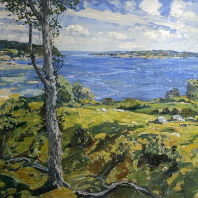 Inlet with Tree and Yellow Grass